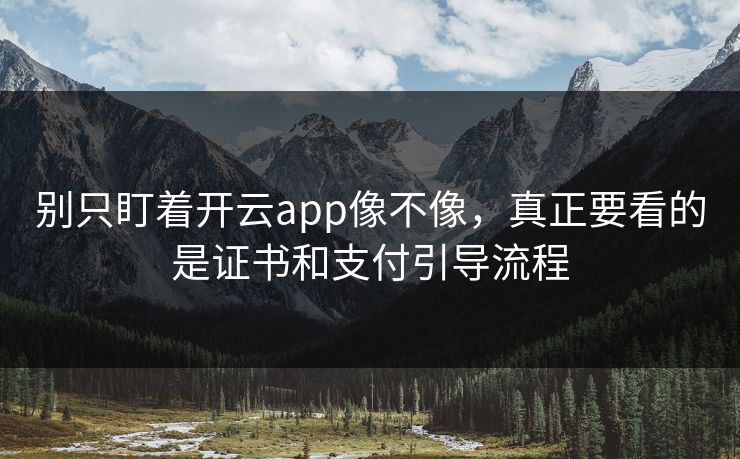 别只盯着开云app像不像，真正要看的是证书和支付引导流程