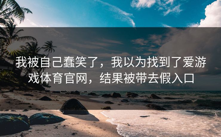我被自己蠢笑了，我以为找到了爱游戏体育官网，结果被带去假入口