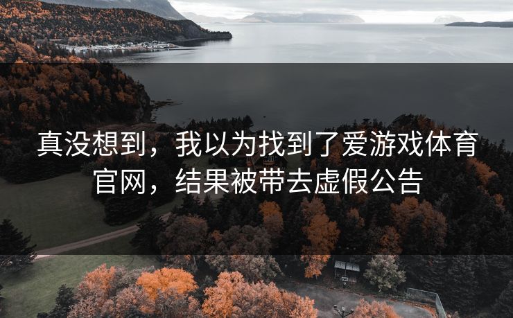 真没想到，我以为找到了爱游戏体育官网，结果被带去虚假公告